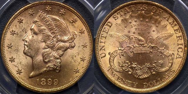 1899 Twenty Dollars